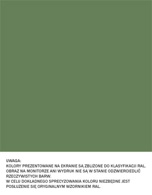 Epidian FLOOR S1 (v-5 kg) - zieleń rezedowa RAL 6011