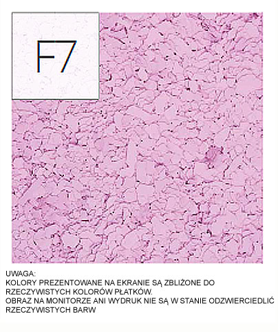 platki_dekoracyjne_F07_1kg_akrylowe_chipsy_posadzek_krisko_lublin.jpg